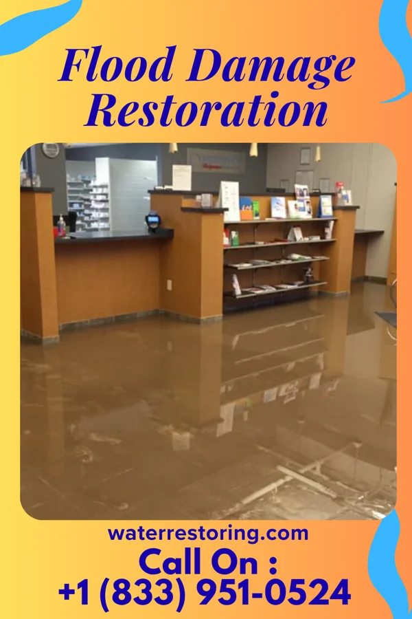 Flood Damage Restoration in Broeck Pointe, KY